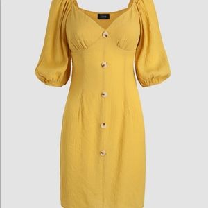 Chic Puff Sleeve Dress